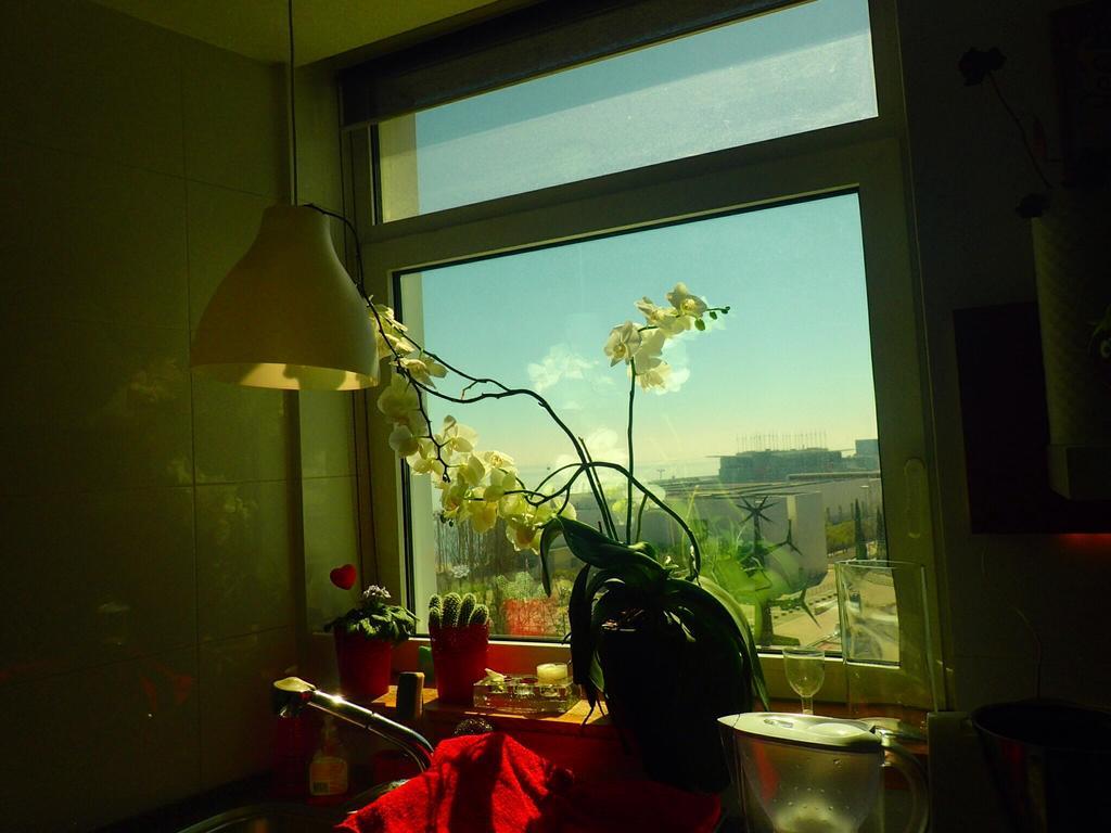 Lxriverside Suite Apartment Lisbon Luaran gambar